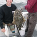 hc_halibut