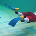swimming
